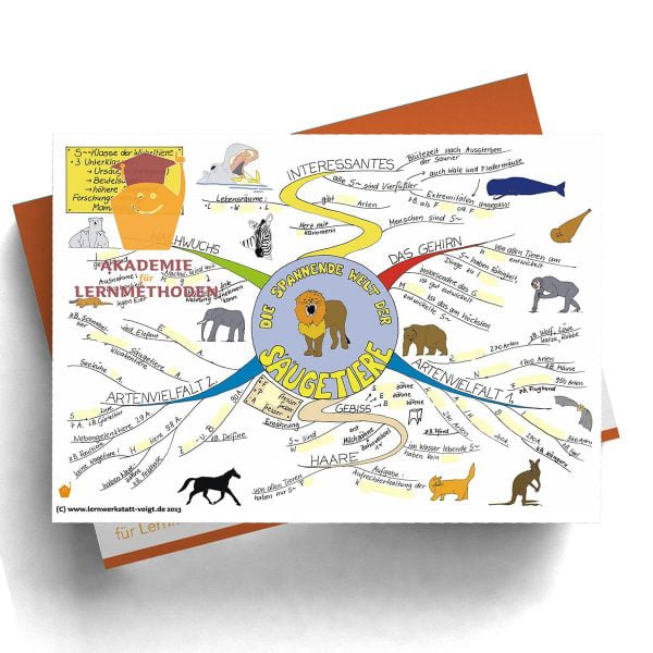 Mindmap Die spannende Welt der Säugetiere