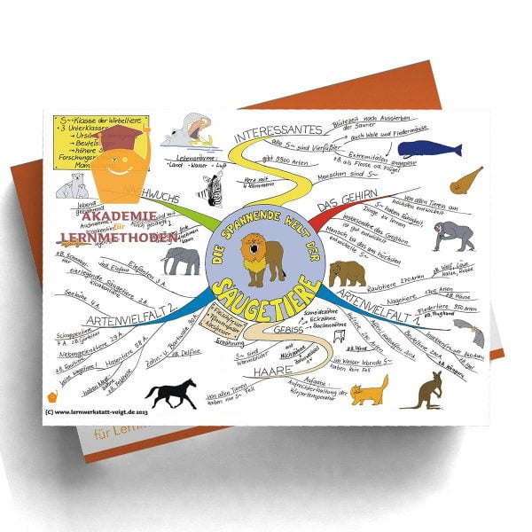 Mindmappaket Grundschule 1 - Abteilung Tiere [Digital]