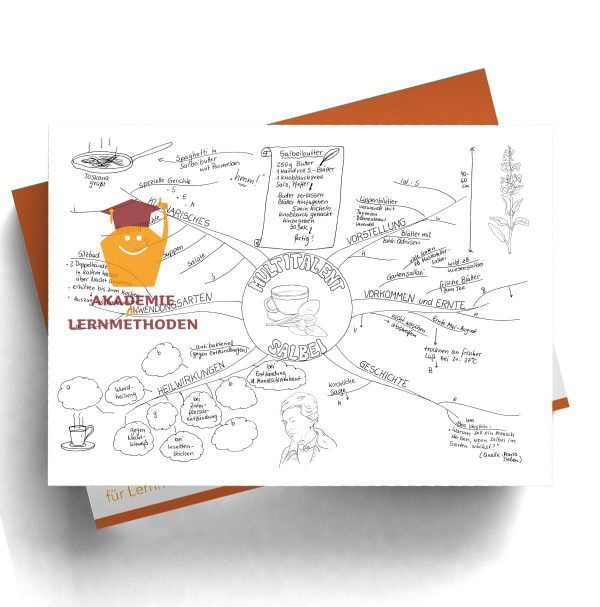 Mindmap zum Thema Salbei als Lückenmindmap