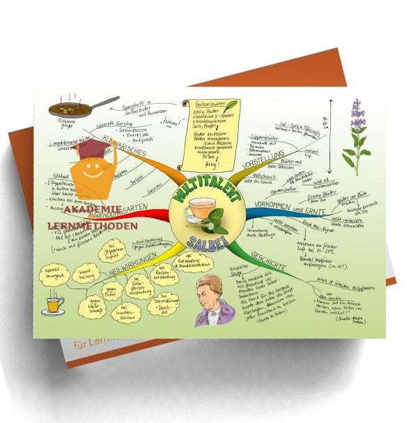 Mindmap zum Thema Salbei