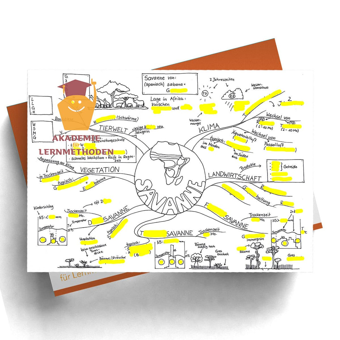 Mindmap Savanne
