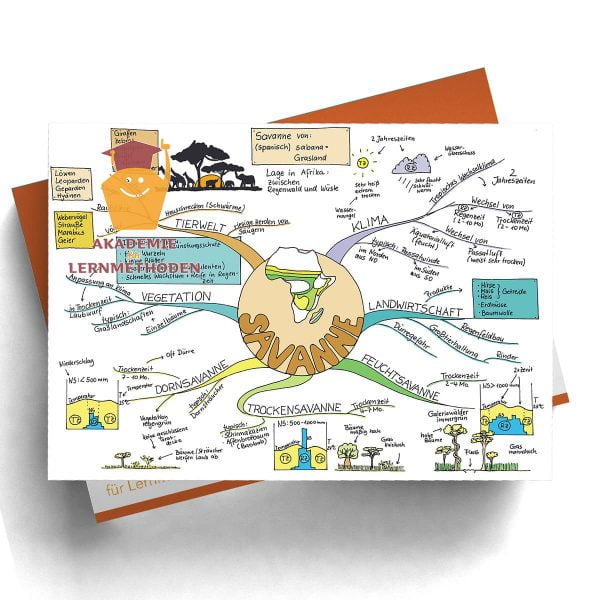Mindmap Savanne