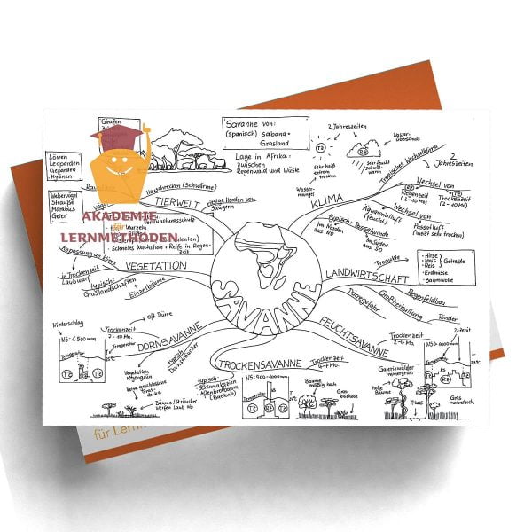 Mindmap Savanne