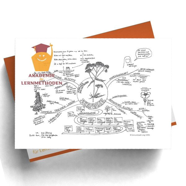 Mindmap Schafgarbe