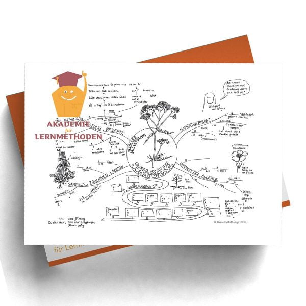 Mindmap Schafgarbe