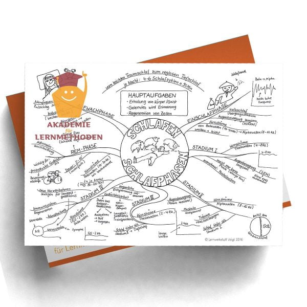 Mindmap Schlafphasen