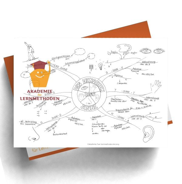 Mindmap zum Thema Sinne des Menschens mit Lücken