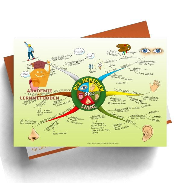 Mindmap zum Thema Sinne des Menschens in Farbe