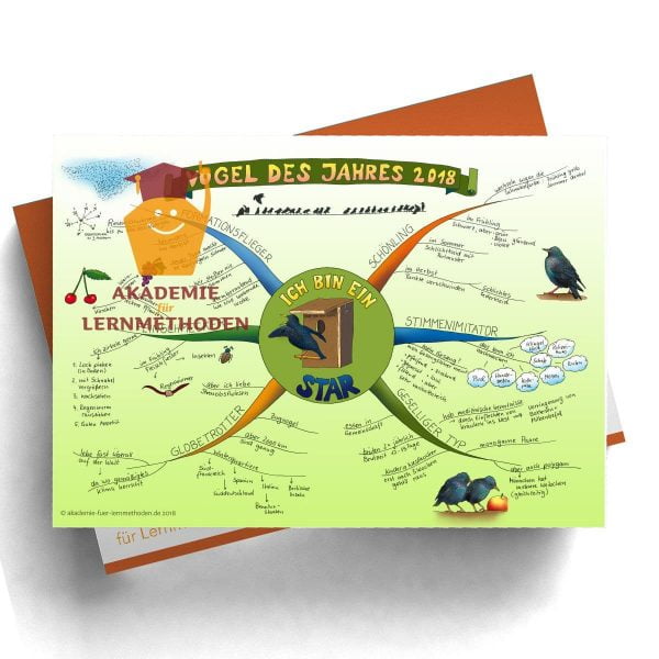 Mindmap zum Thema Star_