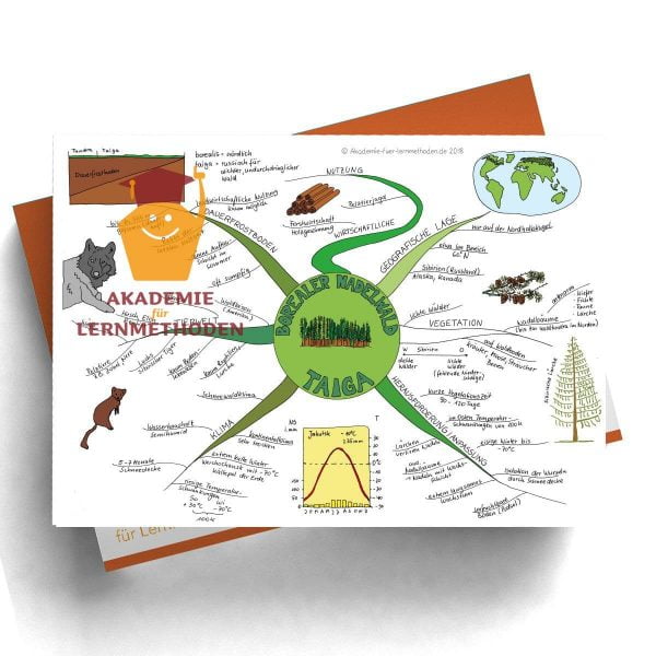 Mindmap Taiga - Papierformat