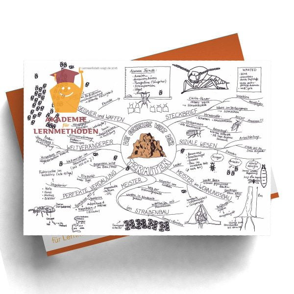 Mindmap Termiten