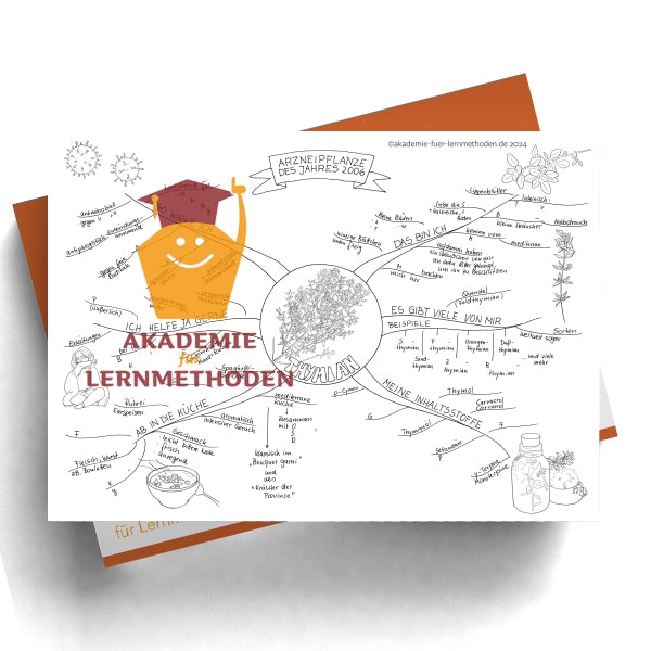 Mindmap zum Thema Thymian
