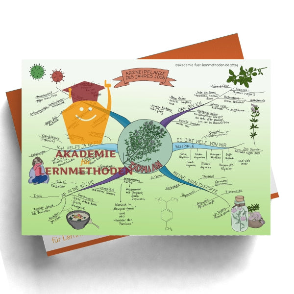 Mindmap zum Thema Thymian