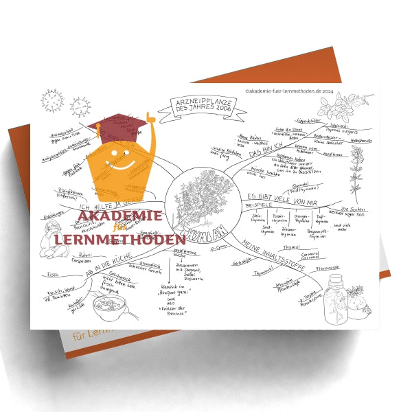 Mindmap zum Thema Thymian