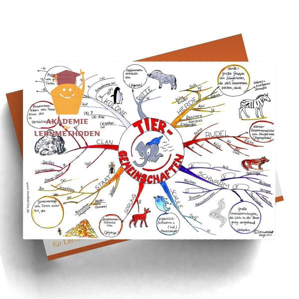 Mindmap Tiere leben in Gemeinschaften