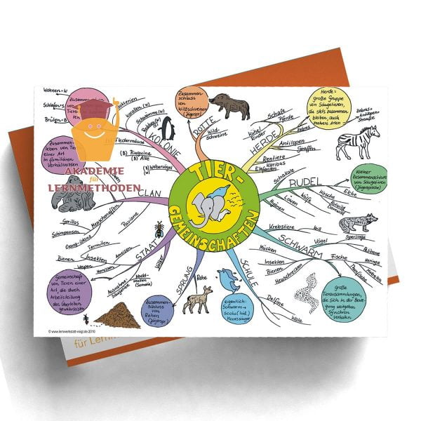 Mindmap Tiere leben in Gemeinschaften