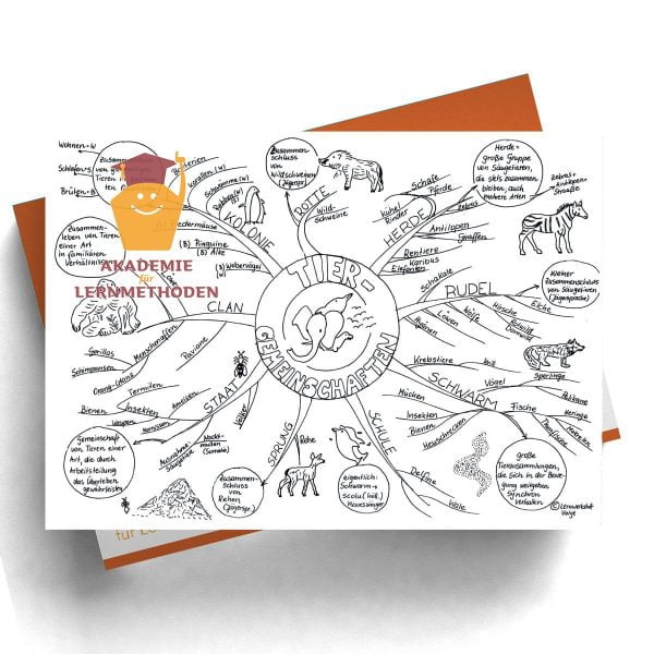 Mindmap Tiere leben in Gemeinschaften