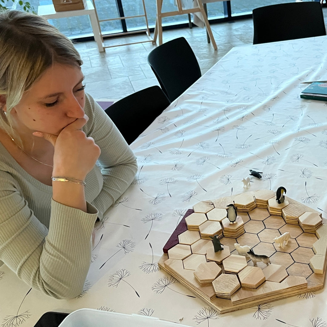 Tolle Scholle - das spannende Strategiespiel jenseits des Polarkreises
