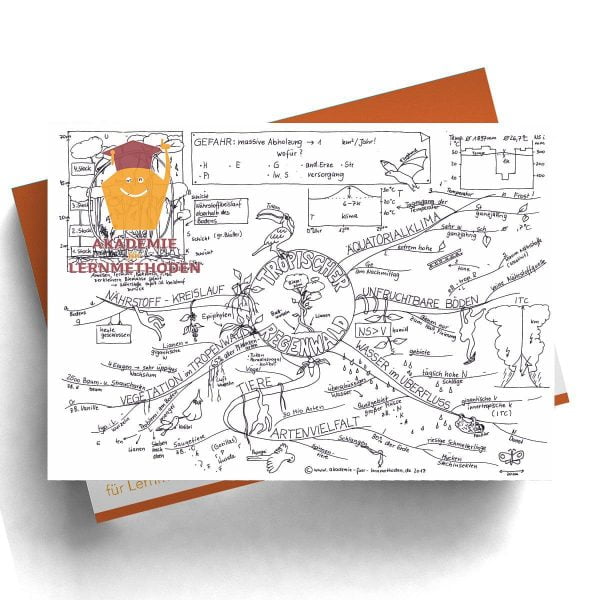Mindmap Der Tropische Regenwald