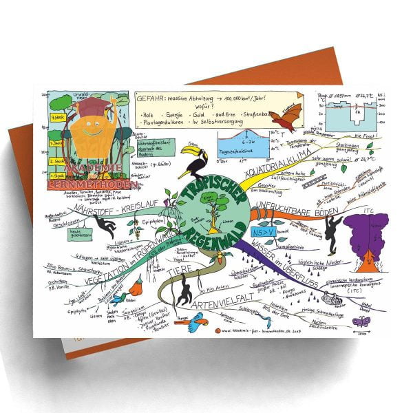 Mind Map zum Thema Tropischer Regenwald