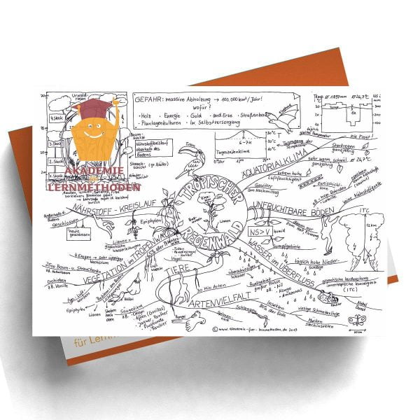 Mindmap Der Tropische Regenwald
