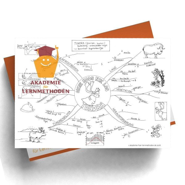 Mindmap zum Thema Tundra mit Lücken