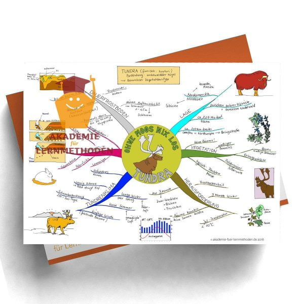 Mindmap Tundra - Papierformat