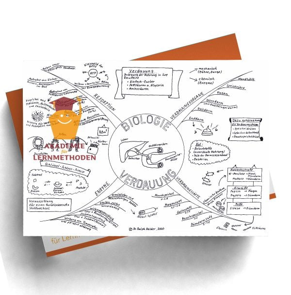 Mindmap über die Verdauung als schwarz-weiß Mindmap