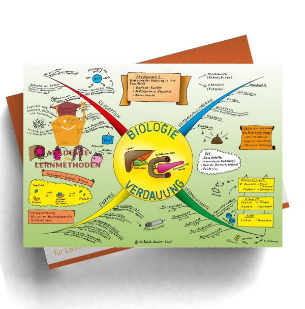 Mindmap über die Verdauung in Farbe