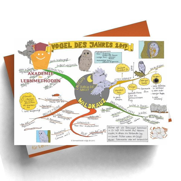 Mindmappaket Biologie 5 - Vögel II - die Herrscher der Lüfte [Digital]