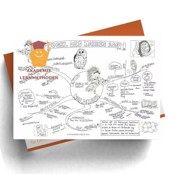 Mindmap Der Waldkauz