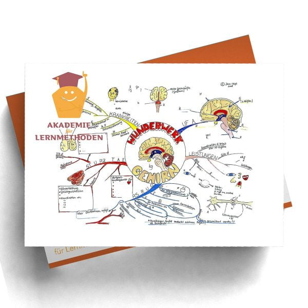 Mindmap Wunderwerk Gehirn