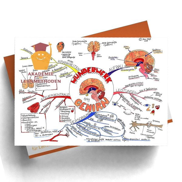 Mindmappaket Biologie 2 - Das Gehirn - unser Zentralrechner [Digital]