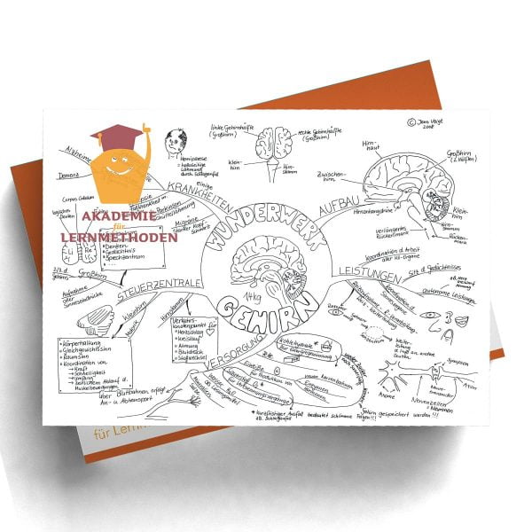 Mindmap Wunderwerk Gehirn