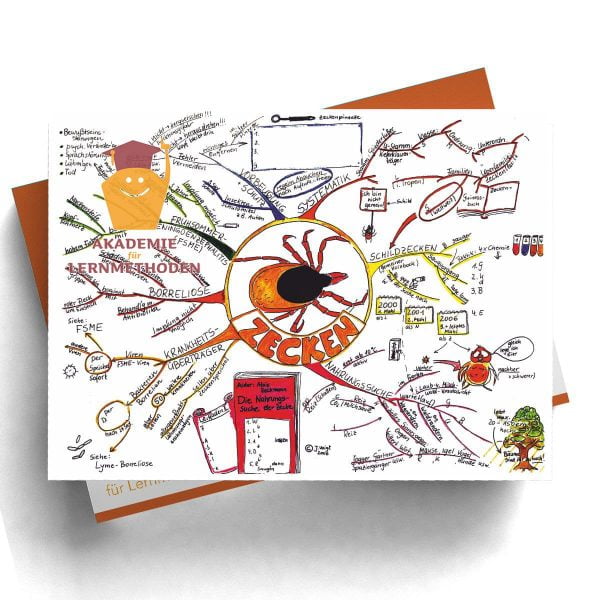Mindmap Zecken