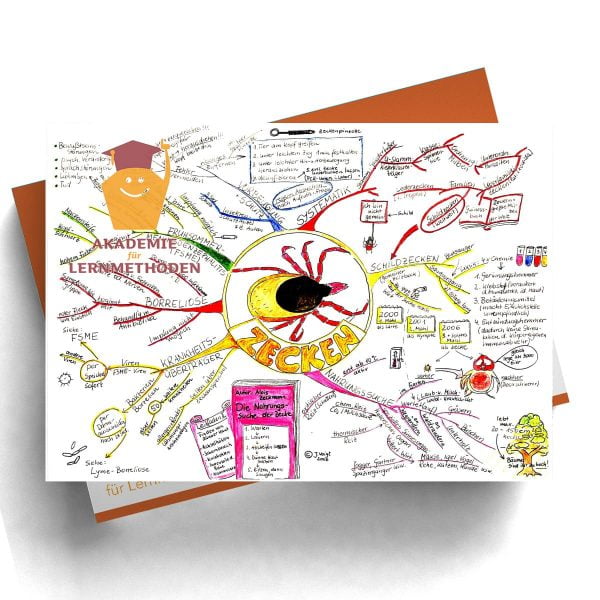 Mindmap Zecken