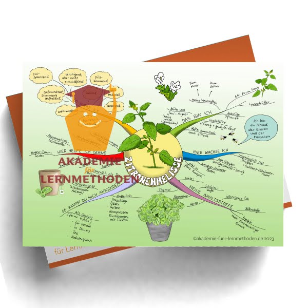 Mindmap zum Thema Zitronenmelisse