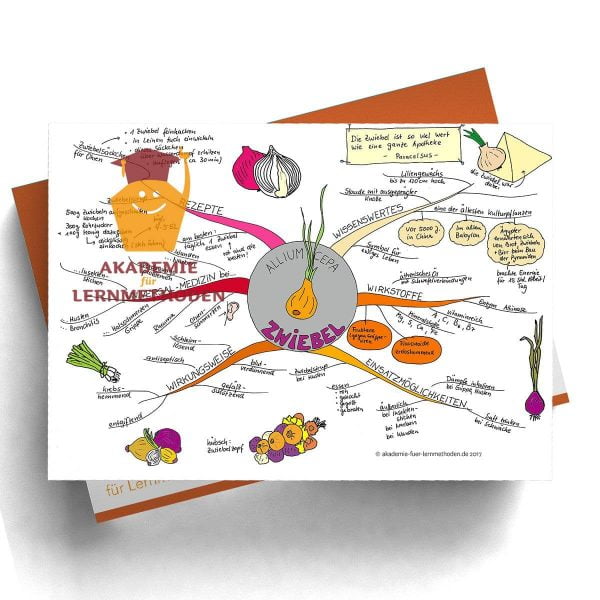 Mindmap zum Thema Zwiebel in Farbe