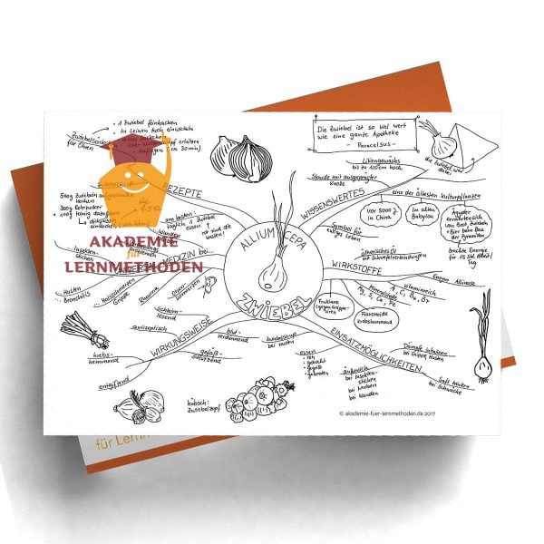 Mindmap zum Thema Zwiebel in Schwarz- Weiß