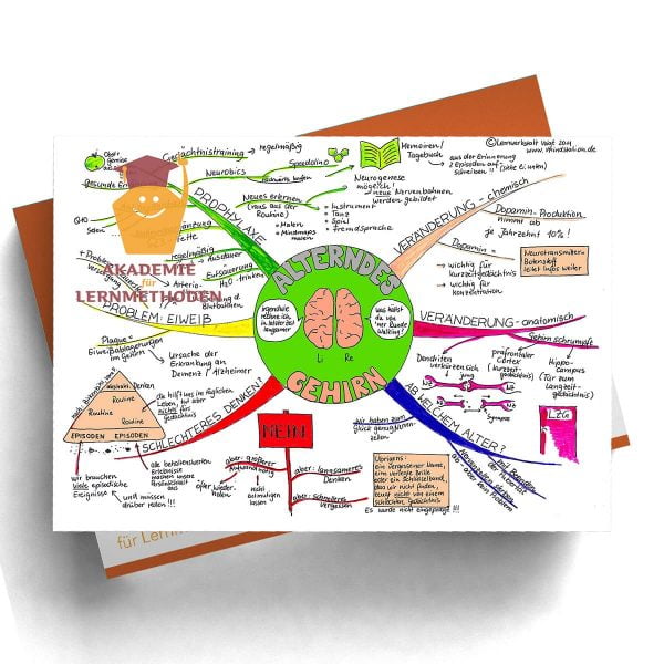 Mindmappaket Biologie 2 - Das Gehirn - unser Zentralrechner [Digital]
