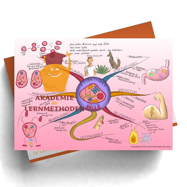 Mind Map Function of Animal Cells