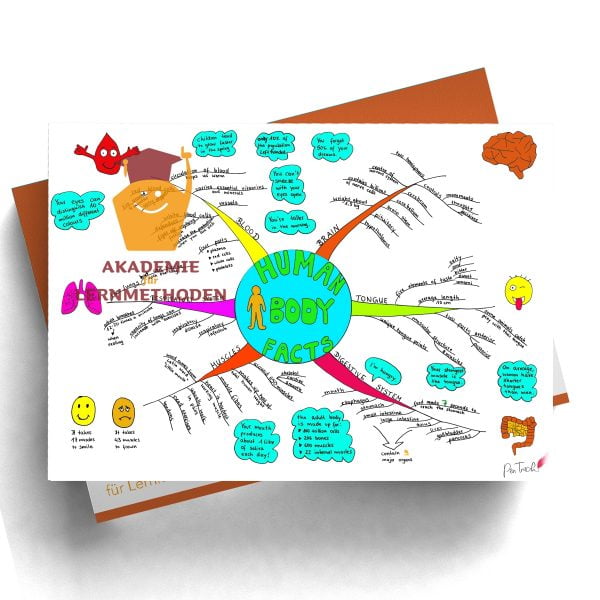Mindmap zum Thema human-body-facts in Farbe